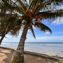 фото из отзыва ID 2327576