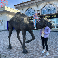 фото из отзыва ID 2327686