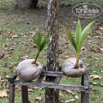 фото из отзыва ID 2327737