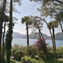 фото из отзыва ID 2327827