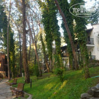 фото из отзыва ID 2327827