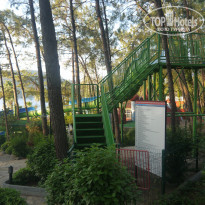 фото из отзыва ID 2327827