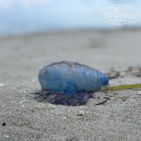 фото из отзыва ID 2327905