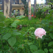 фото из отзыва ID 2327827