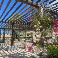 фото из отзыва ID 2327936