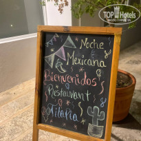 фото из отзыва ID 2327936