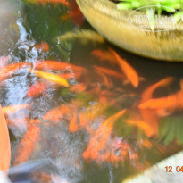 фото из отзыва ID 2328023