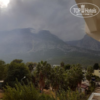 фото из отзыва ID 2325406