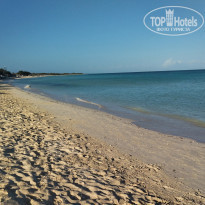 фото из отзыва ID 2328133