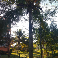 фото из отзыва ID 2328133