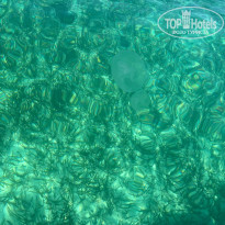 фото из отзыва ID 2328133