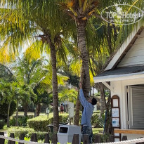 фото из отзыва ID 2328133