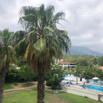 фото из отзыва ID 2328293