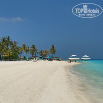 фото из отзыва ID 2328295