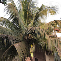 фото из отзыва ID 2328365