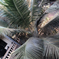 фото из отзыва ID 2328365