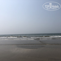 фото из отзыва ID 2328365