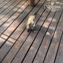 фото из отзыва ID 2328420