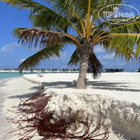 фото из отзыва ID 2328589