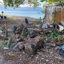 фото из отзыва ID 2328694