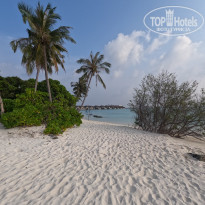 фото из отзыва ID 2328725