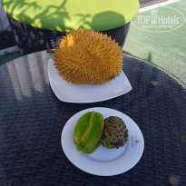 фото из отзыва ID 2328642