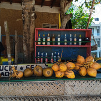 фото из отзыва ID 2328642