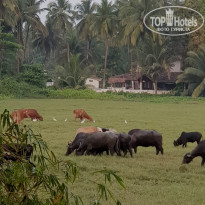 фото из отзыва ID 2328976