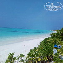 фото из отзыва ID 2328982