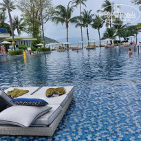 фото из отзыва ID 2328998