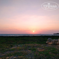 фото из отзыва ID 2329029