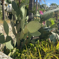 фото из отзыва ID 2329034