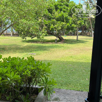 фото из отзыва ID 2329148