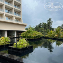 фото из отзыва ID 2329197