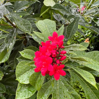 фото из отзыва ID 2329197