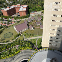 фото из отзыва ID 2329197