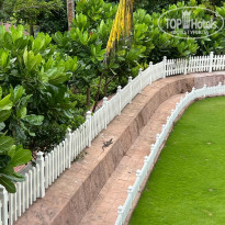 фото из отзыва ID 2329197