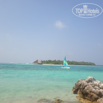 фото из отзыва ID 2329207