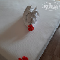 фото из отзыва ID 2329294