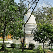 фото из отзыва ID 2329294