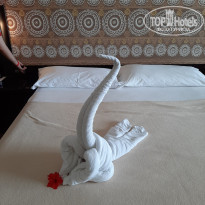 фото из отзыва ID 2329294