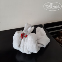 фото из отзыва ID 2329294