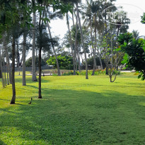 фото из отзыва ID 2329314