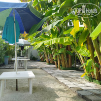 фото из отзыва ID 2329359