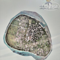 фото из отзыва ID 2329359