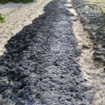 фото из отзыва ID 2329359