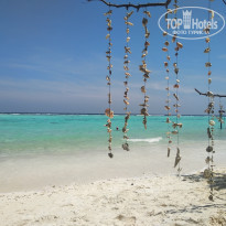 фото из отзыва ID 2329359