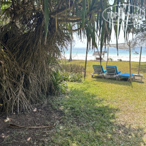 фото из отзыва ID 2329419