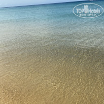 фото из отзыва ID 2329459