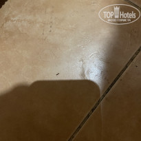 фото из отзыва ID 2329526